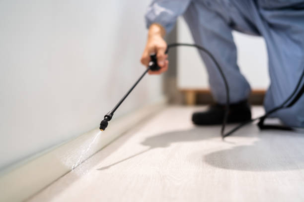 Professional exterminator conducting IPM assessment in La Monte